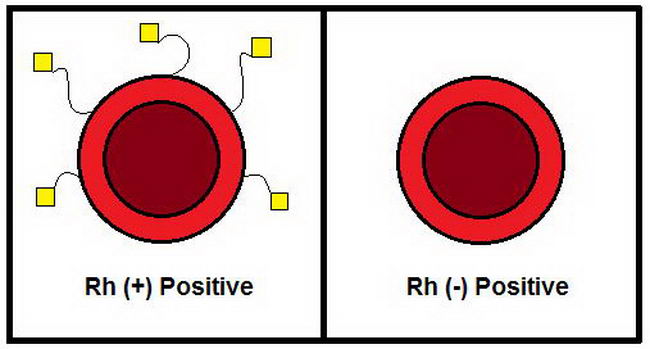 rh-negative-02