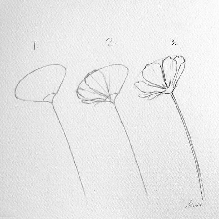 ศิลปินสาวเกาหลีสอนวิธีวาดดอกไม้ง่ายๆ ภายใน 3 ขั้นตอนเท่านั้น - เพชรมายา