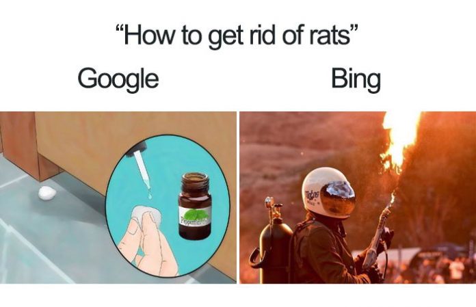 Google VS Bing google-vs-bing